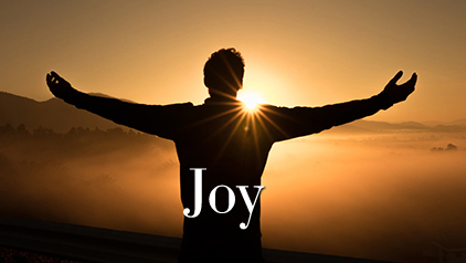 Joy